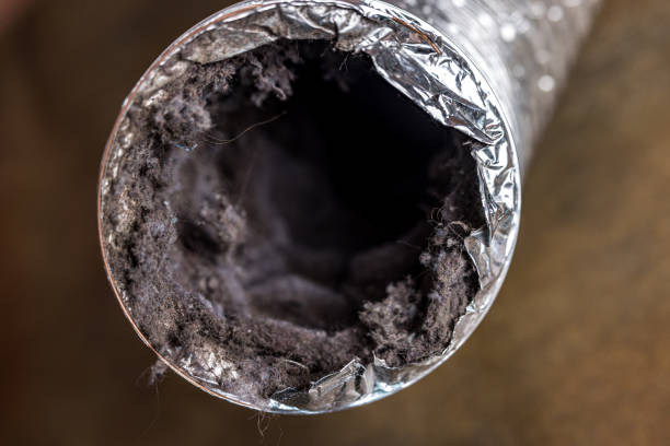 Best HVAC Duct Inspection Services  in Boulder City, NV